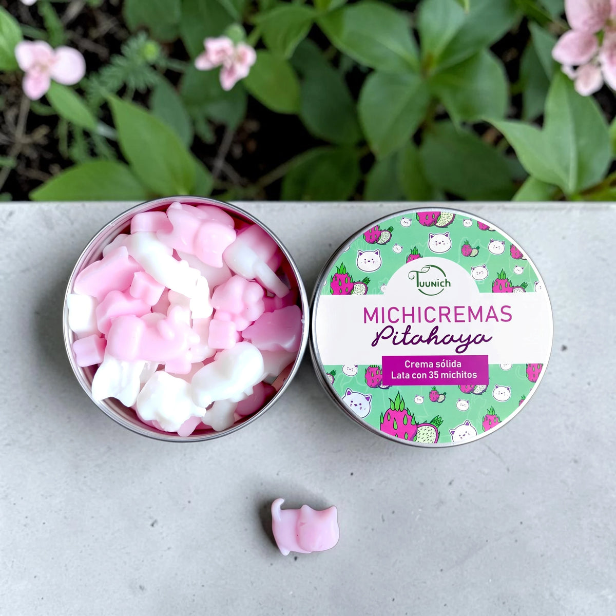 Michicremas Pitahaya